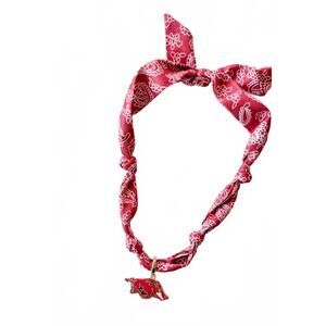 NEW ADELINE women's college bandana scarf necklace in arkansas